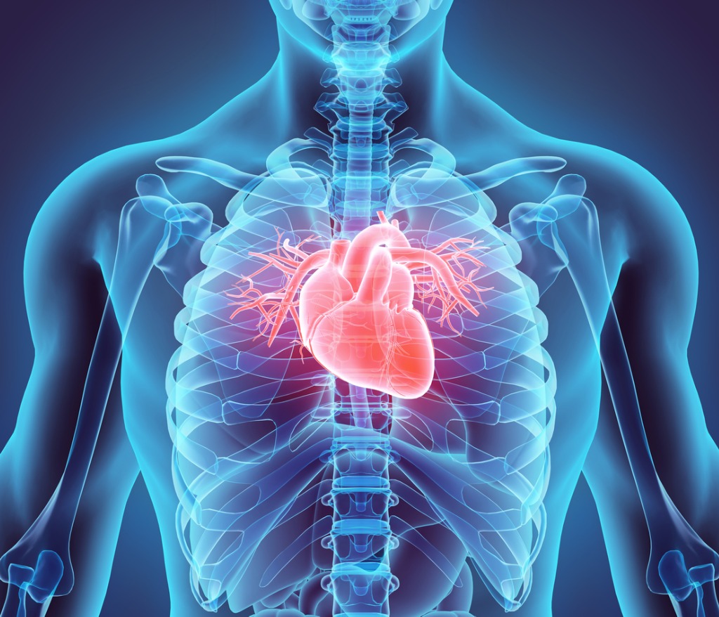 Cardiology is a branch of medicine that deals with disorders of the heart and the cardiovascular system. The field includes medical diagnosis and treatment of congenital heart defects, coronary artery disease, heart failure, valvular heart disease and electrophysiology.